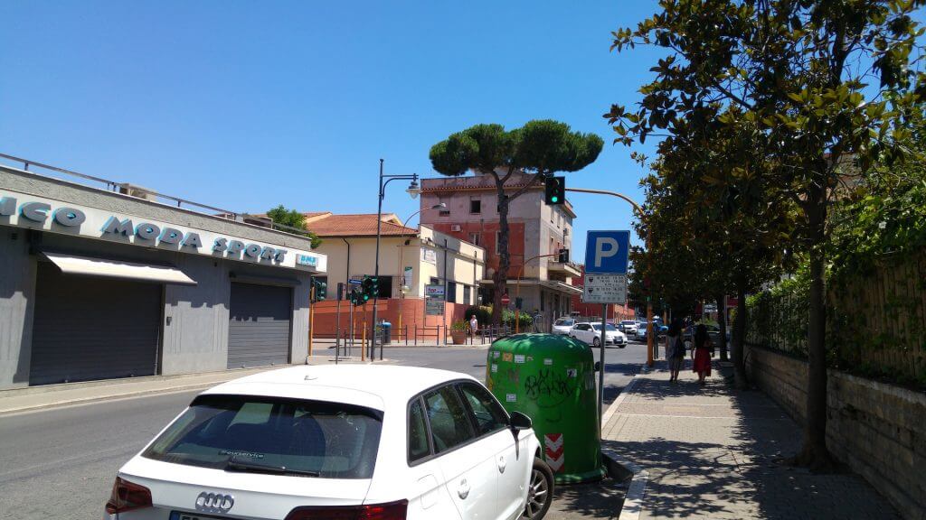 Trees in Italy