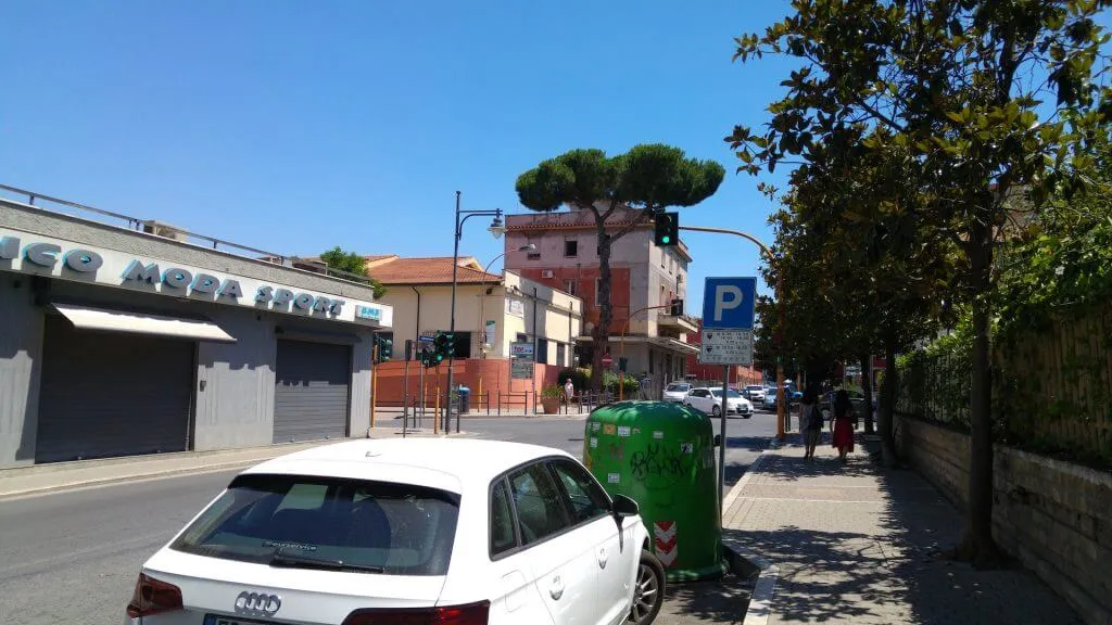 Trees in Italy