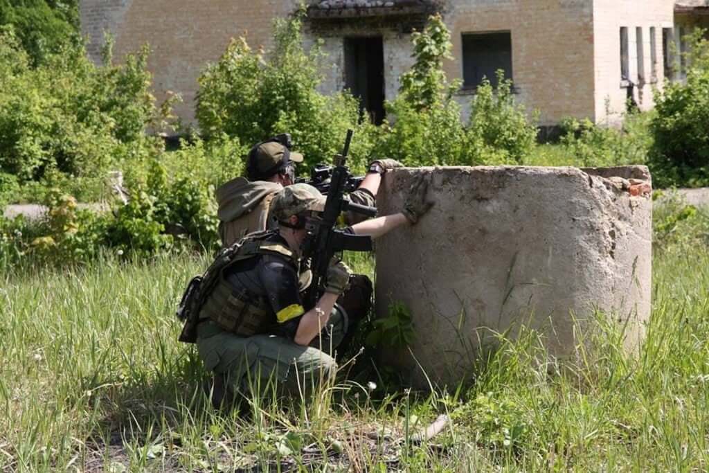 Trying to hide
