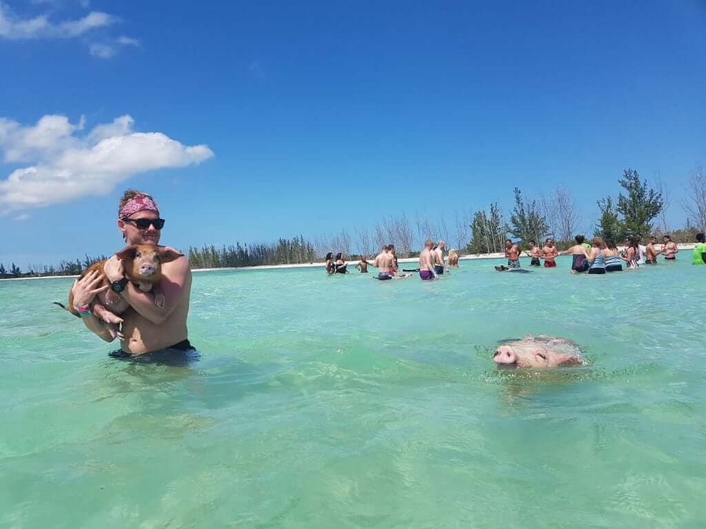 Swimming with pigs in Bahamas