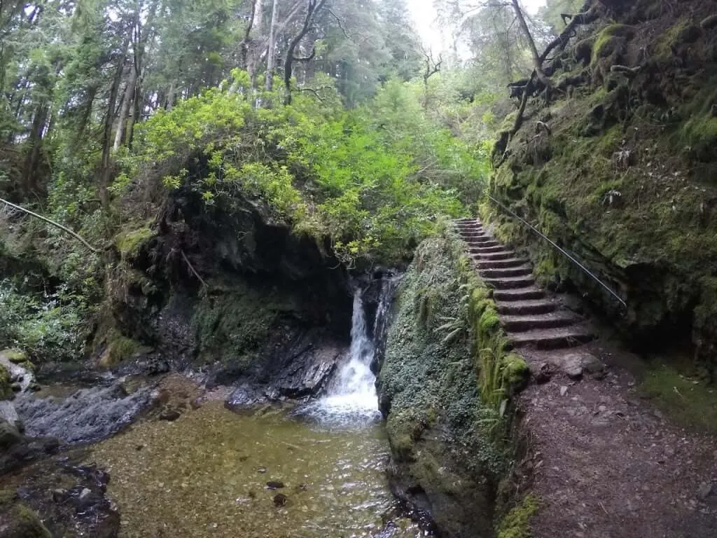 Benmore Botanic Garden