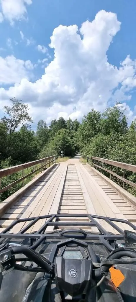 Forest trail wooden bridge