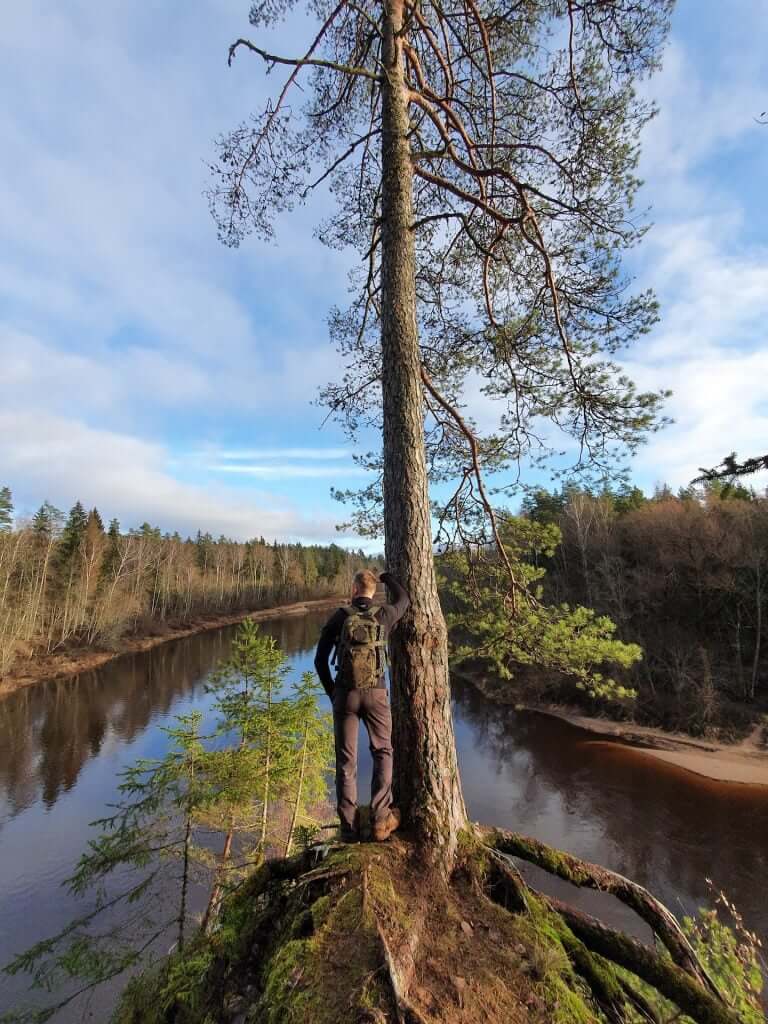 Gauja river