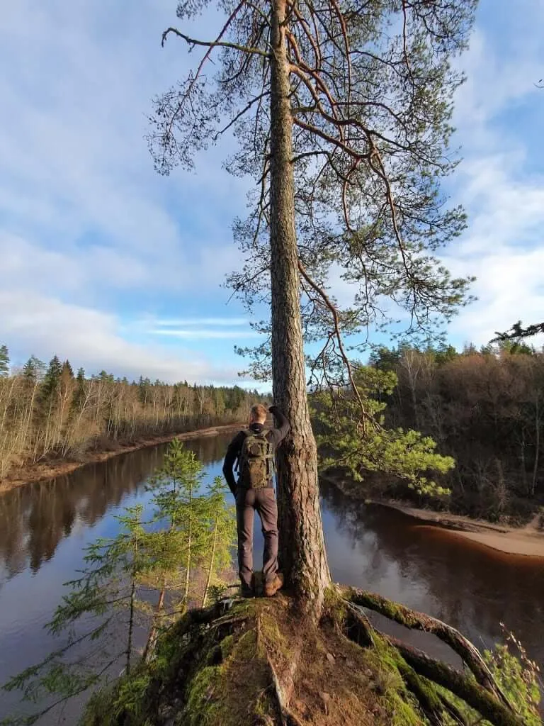 Gauja river