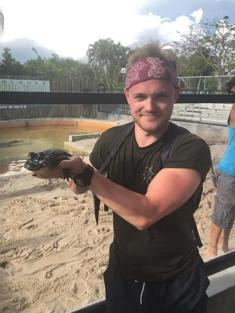 Mini aligator