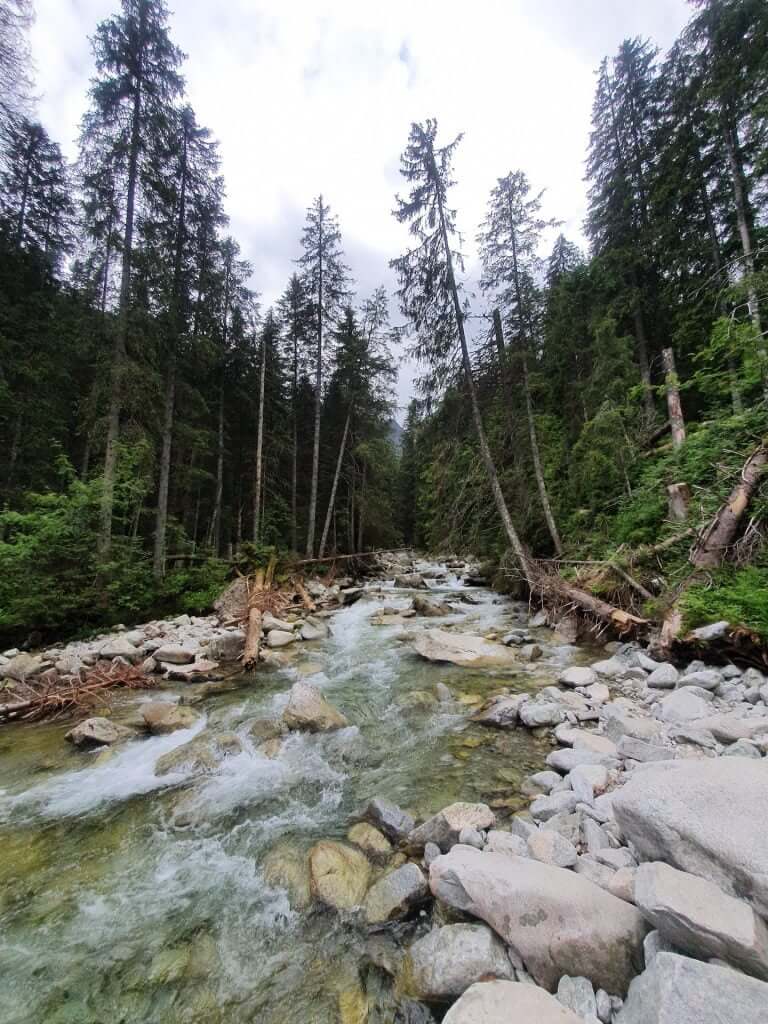 Mountain streams