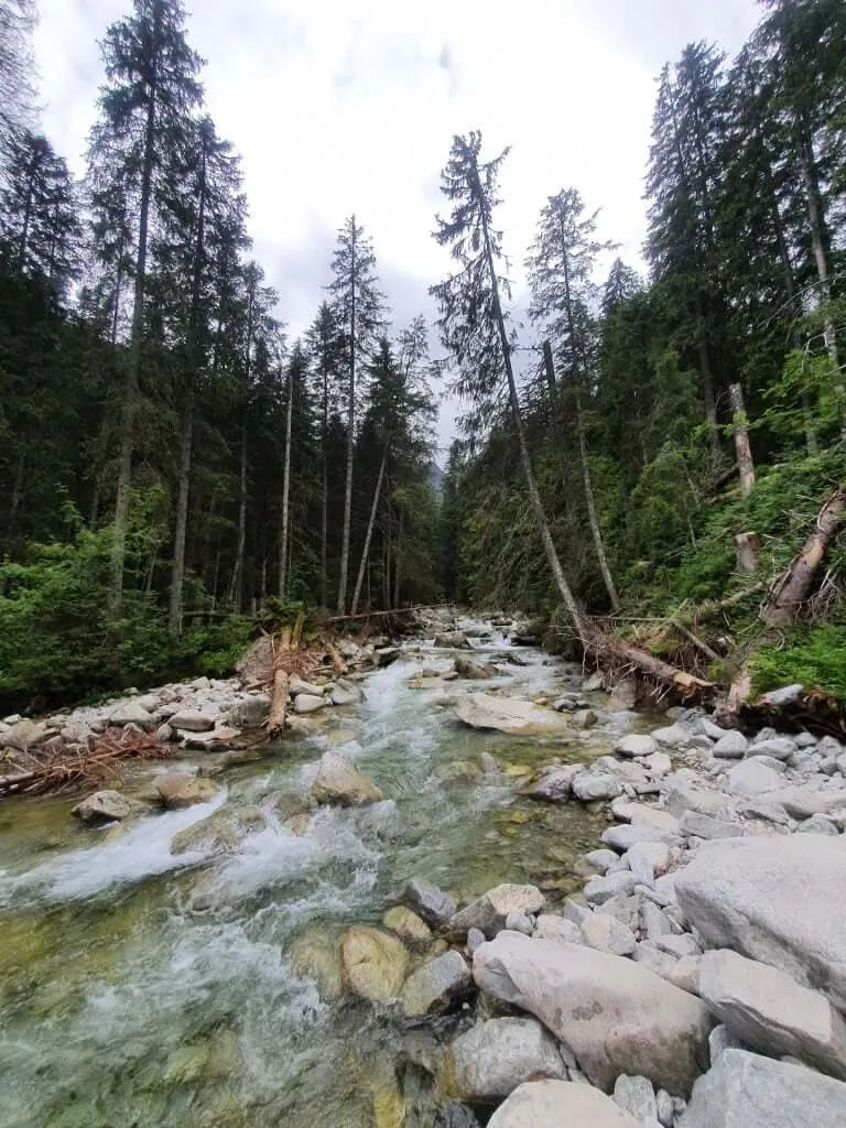 Mountain streams