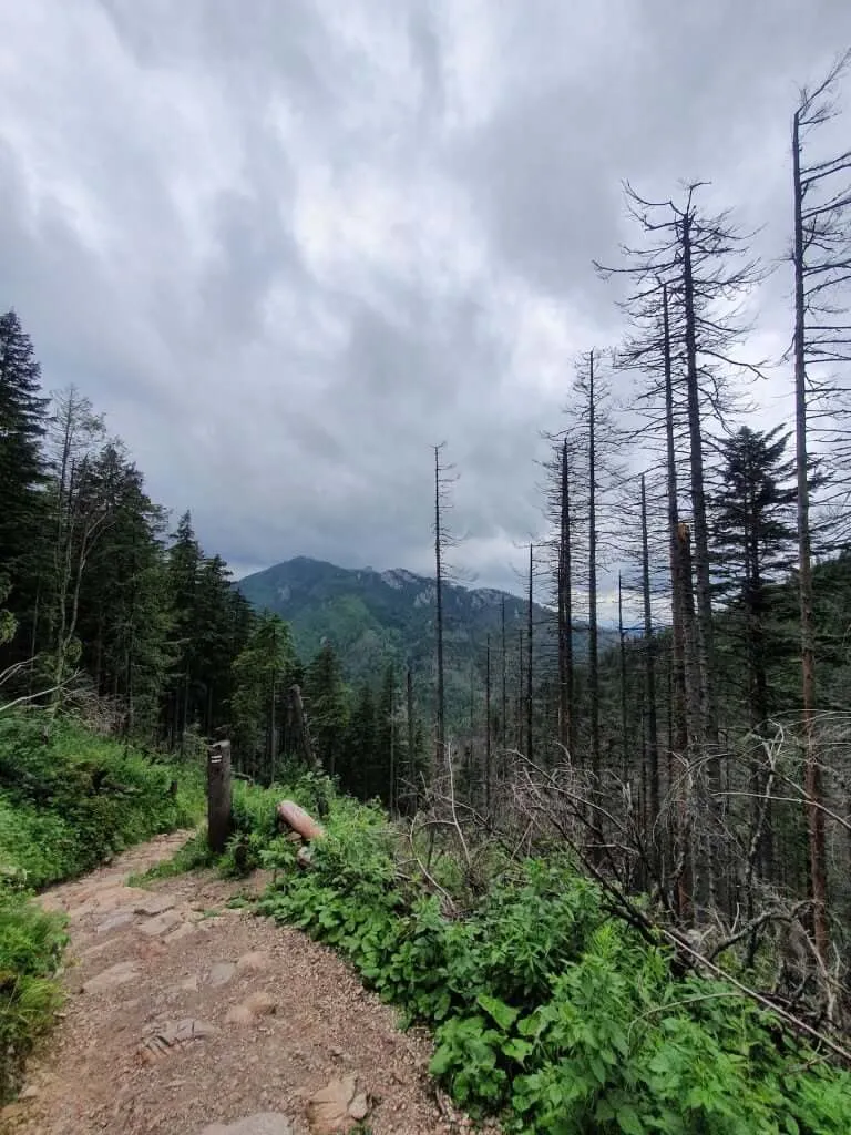 Polish Tatras views