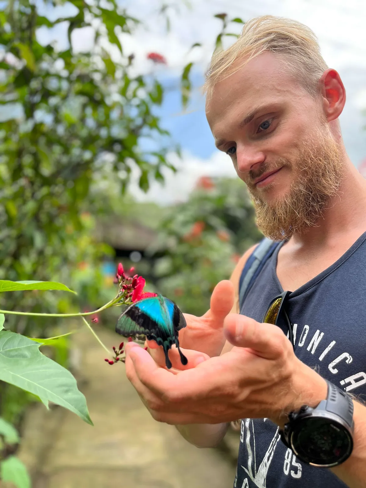 Butterfly on hand