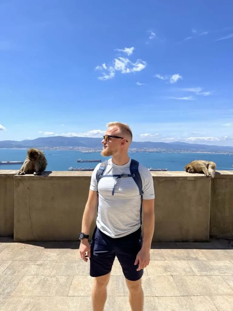 Monkey on wall