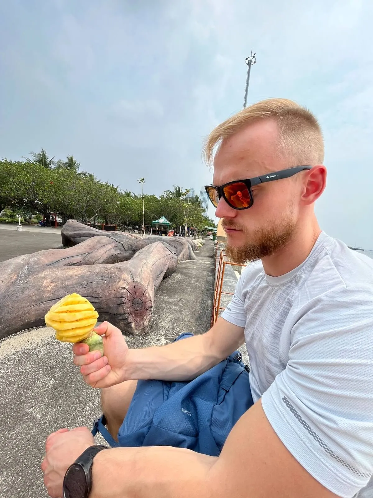 Fresh pineapples