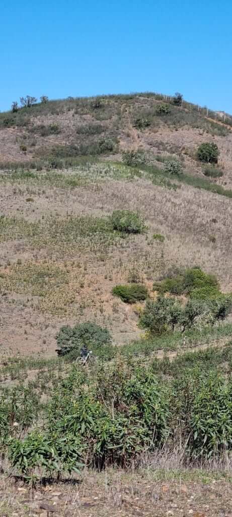 Desert hills landscape
