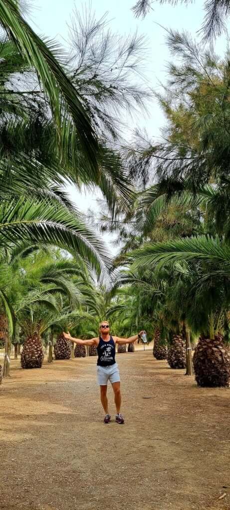 Pineapples sculpture in Lisbon