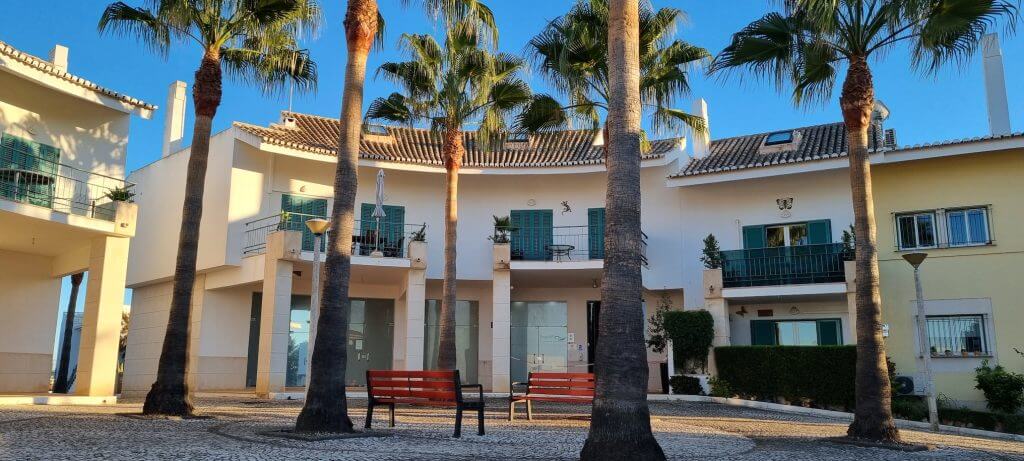 Palm trees in Portimao area