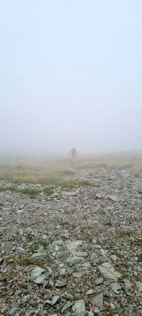 Misty trail in the French Pyrenees