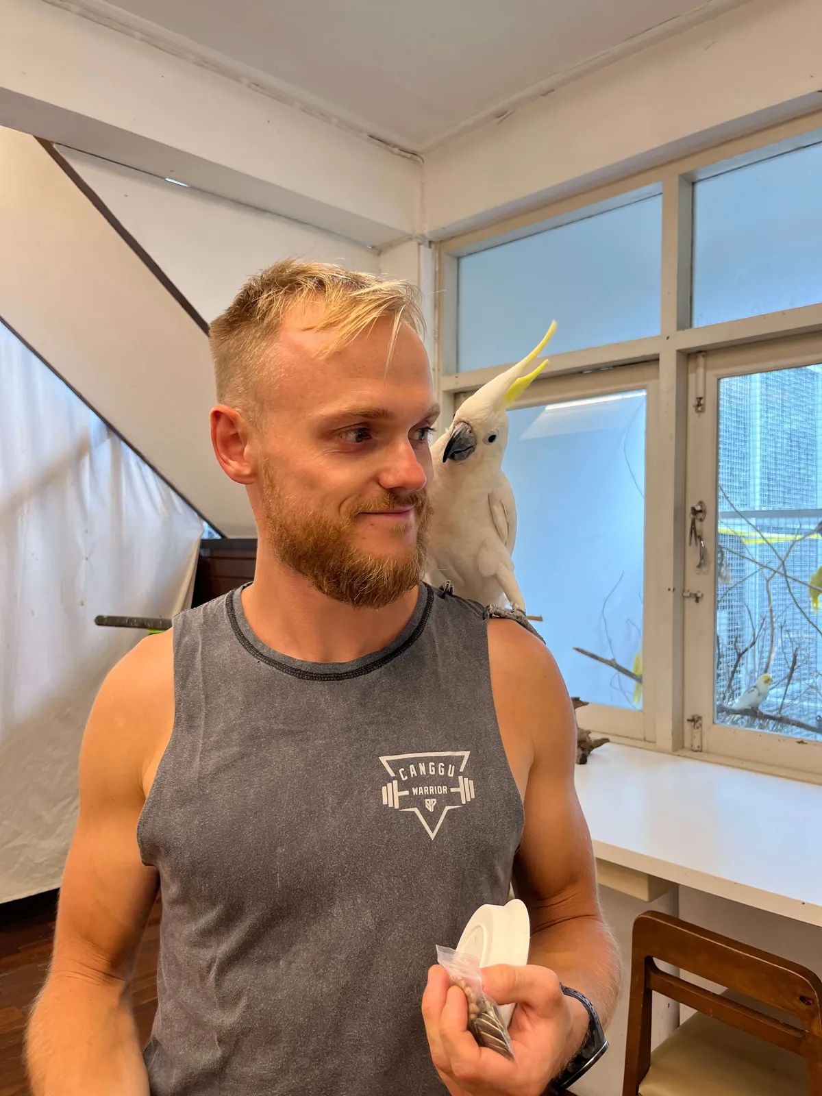 Cockatoo friend