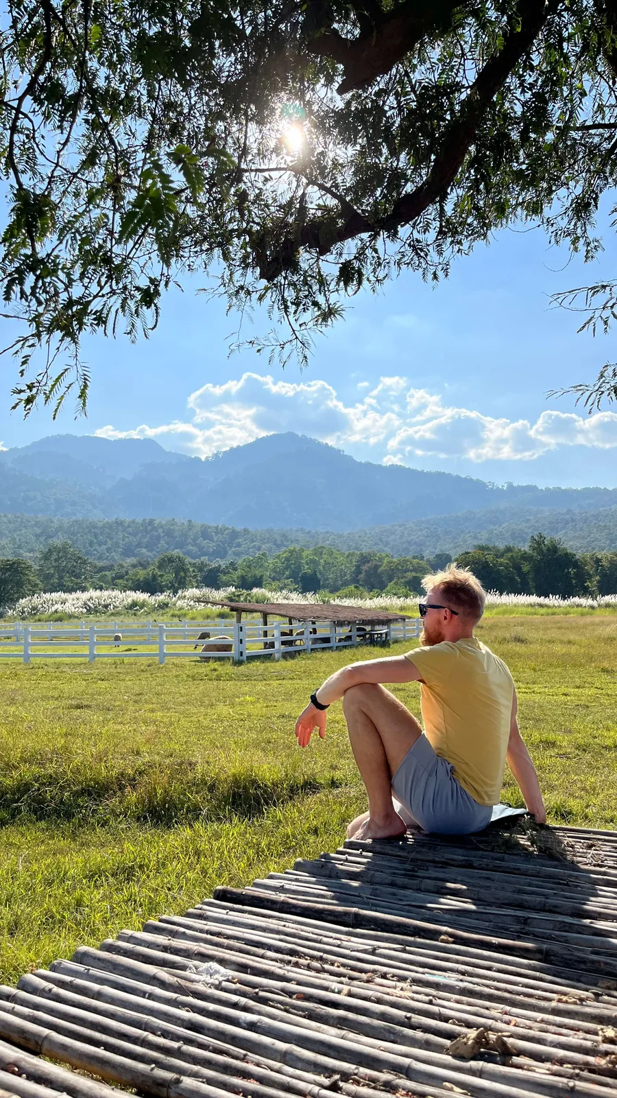 Countryside view