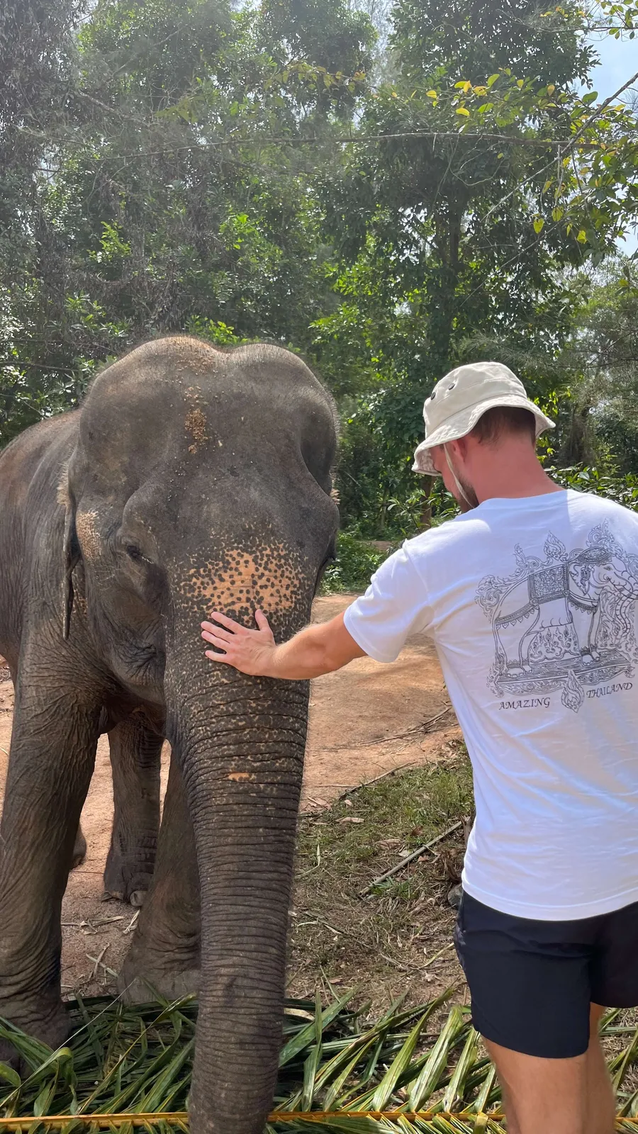 Elephant moment