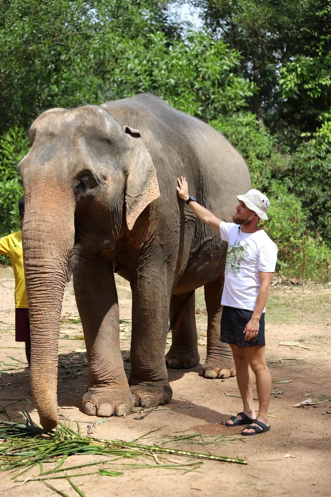 Elephant sanctuary
