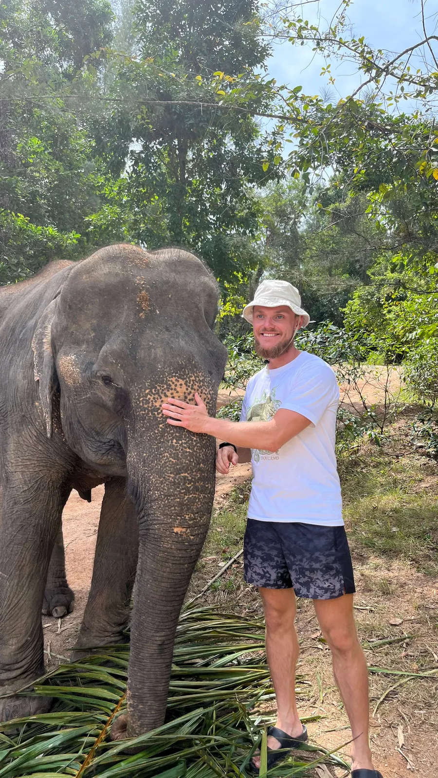 Feeding elephant