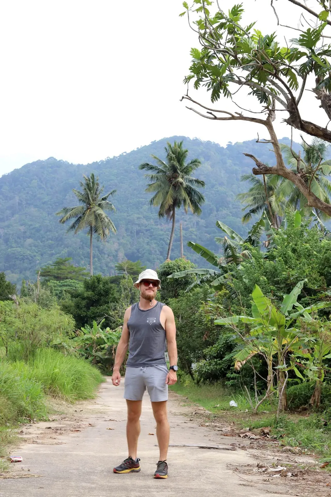 Tropical road