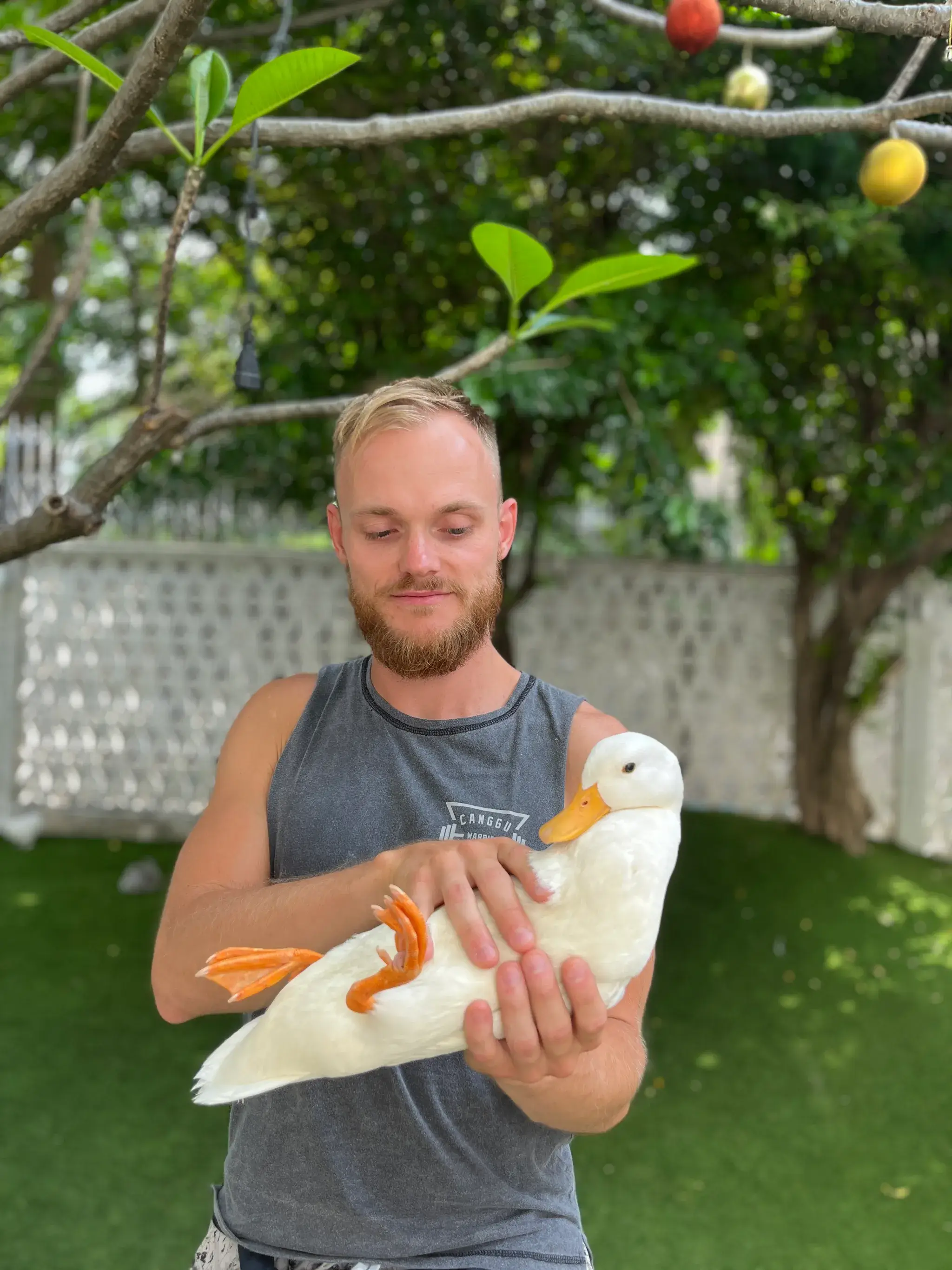 Solo entrepreneurship with duck
